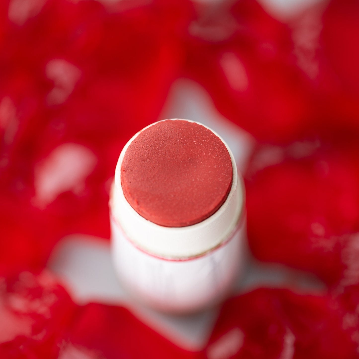 Tinted Lip Balm-1