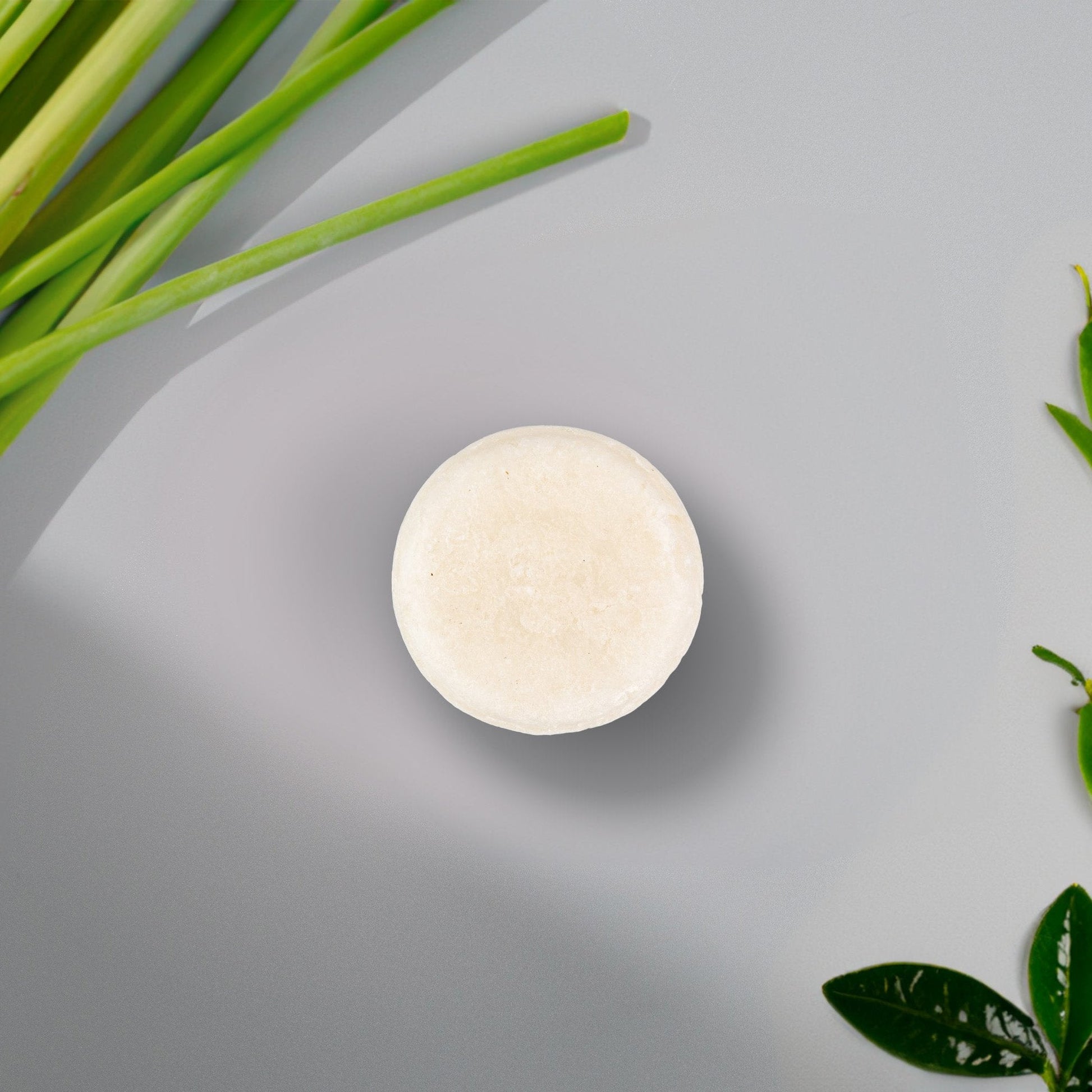 Sulfate-Free Shampoo Bar-3